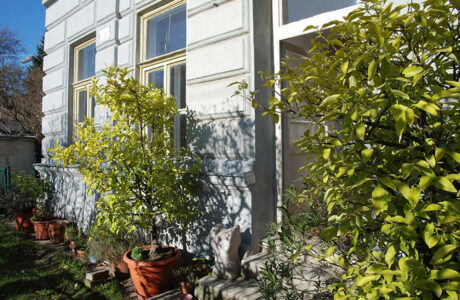 Melanie-van-der-Donk_Atelier_Wien